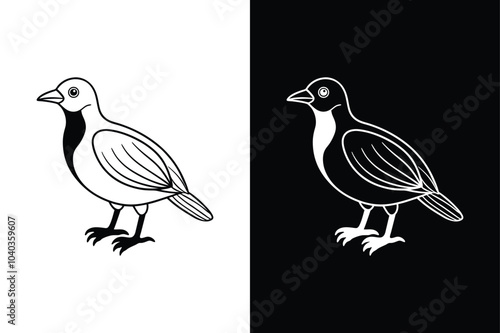 Vector illustration of black lineout of a crow on white background.