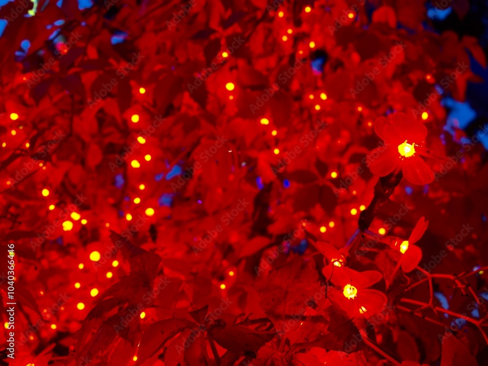 red christmas sakura flowers with petals in the form of bright light bulbs on a tree on a dark background framed by leaves in bushes festive background red christmas sakura flowers with petals in the form of bright light bulbs on a tree on a dark background framed by leaves in bushes festive background
