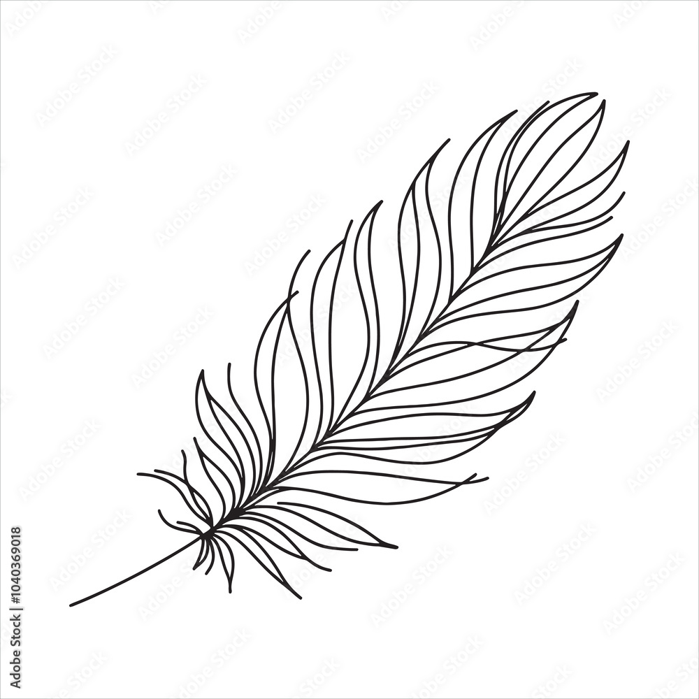 Obraz premium Feather silhouette on white background 