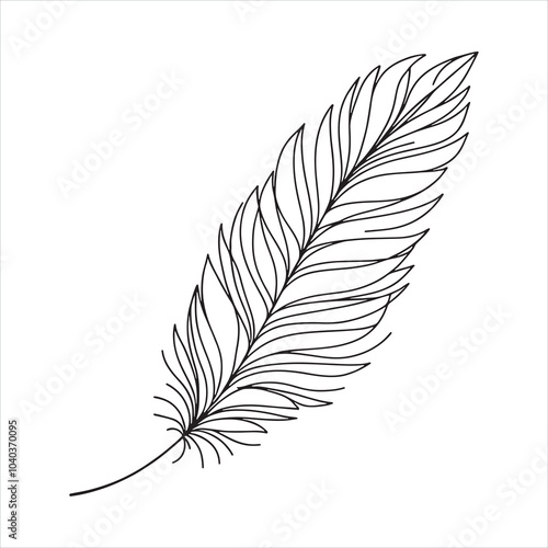 Feather silhouette on white background
