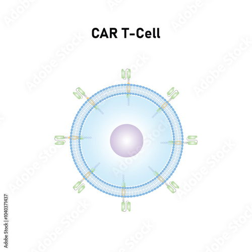 CAR T-cell Scientific Design. Vector Illustration.
