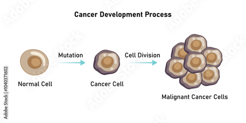 Cancer Cell Development Process Scientific Design. Vector Illustration.
