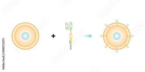 CAR T-cell Therapy Scientific Design. Vector Illustration.
