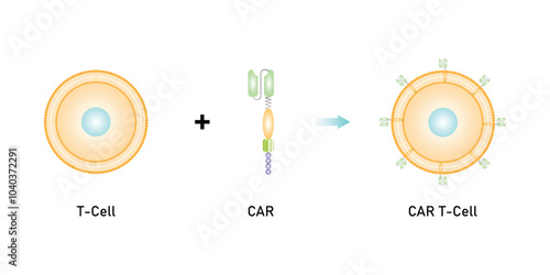 CAR T-cell Therapy Scientific Design. Vector Illustration.
