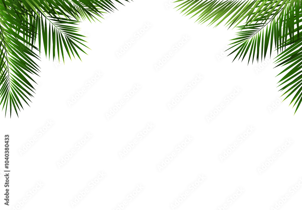 Obraz premium Palm Tree Branch Frame Isolated White