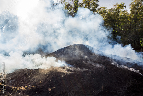 Traditional Way of Charcoal Production in a Forest of Black Sea Mountains, Turkey photo