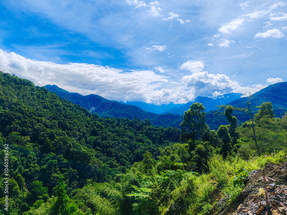 Fototapeta premium Mountain View Photographs