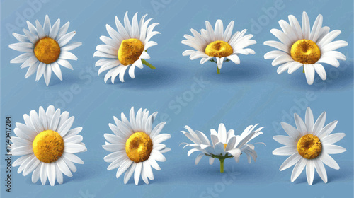 flowers on white