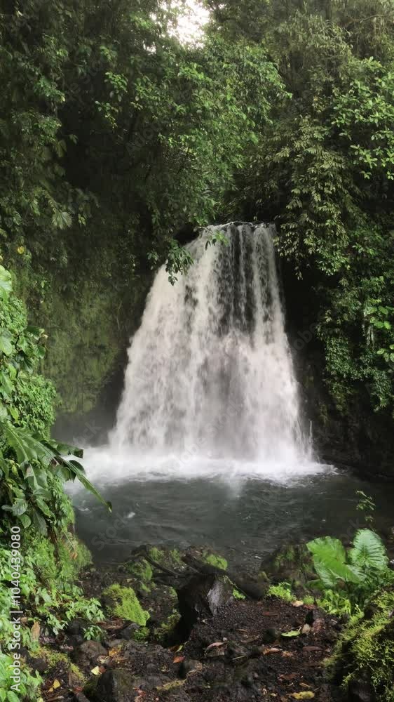 Tropical forest waterfall, Vertical Video, 4k Tropical forest waterfall, Vertical Video, 4k