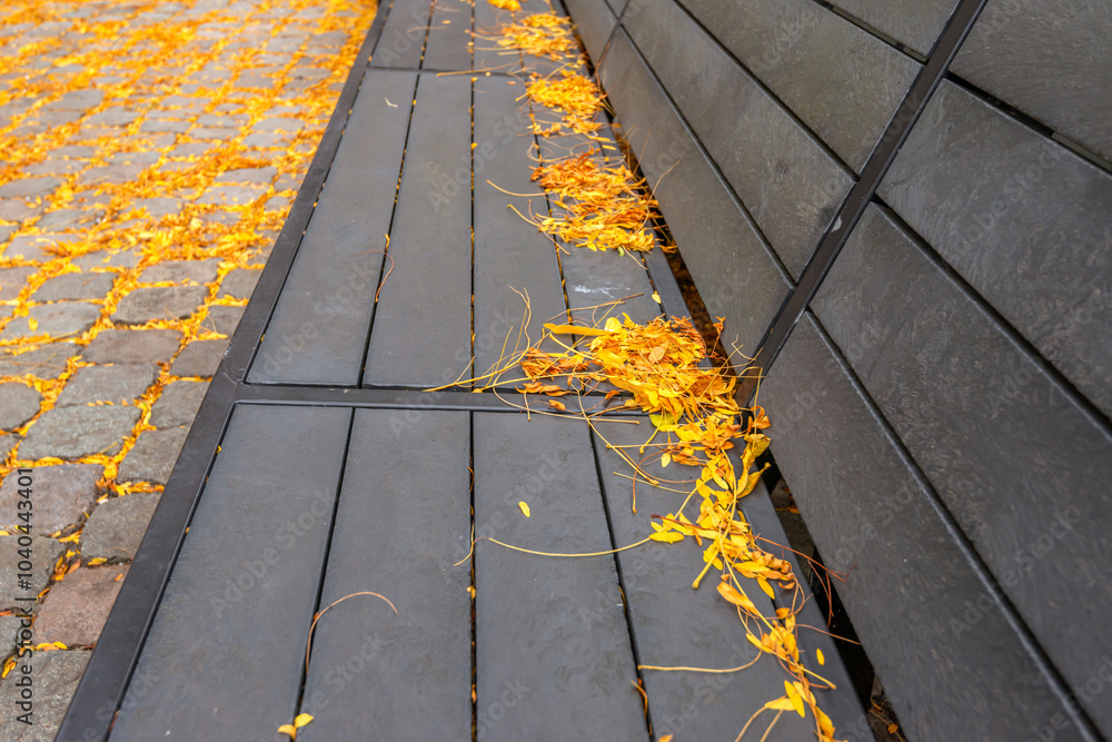 Yellow fallen tree leaves on a dark grey bench outside on the street. It is autumn in the Netherlands.