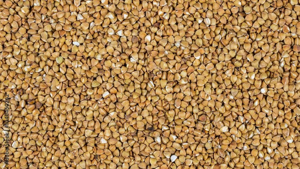 buckwheat with visible details. extura or background buckwheat with visible details. extura or background