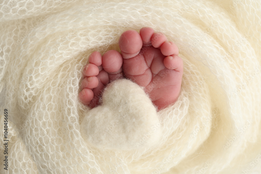 The tiny foot of a newborn baby. Soft feet of a new born in a white wool blanket. Close up of toes, heels and feet of a newborn. Knitted white heart in the legs of a baby. Macro photography. The tiny foot of a newborn baby. Soft feet of a new born in a white wool blanket. Close up of toes, heels and feet of a newborn. Knitted white heart in the legs of a baby. Macro photography.