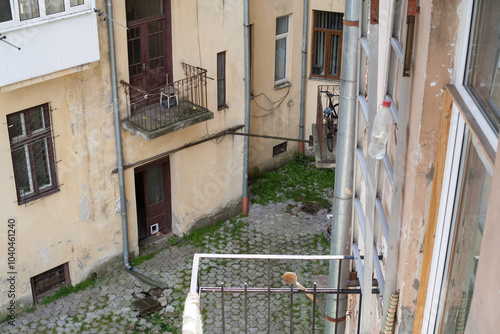 courtyard photo