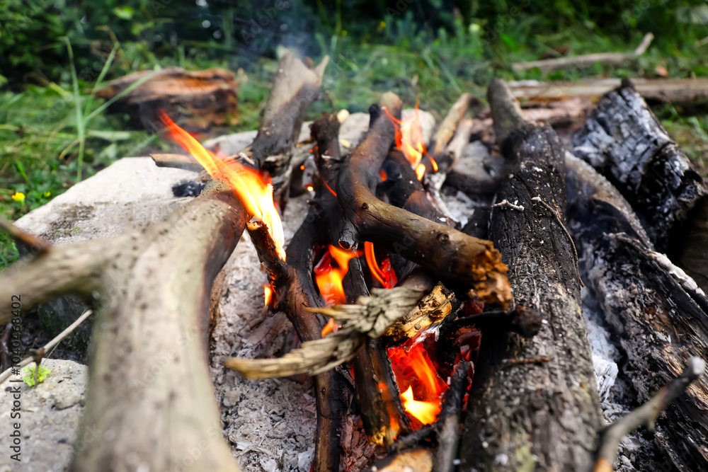 Campfire with burning firewood in forest, closeup Campfire with burning firewood in forest, closeup
