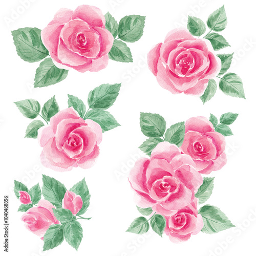 Roses Flowers, blooming. Clip art. Set for decoration. Greeting card decor. Wedding. Birthday. Home interior. Home textiles. Scrubbooking. Watercolor, texture. vintage