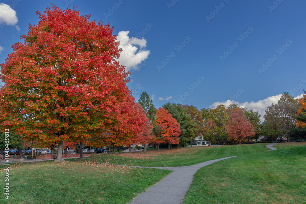 Naklejka premium Autumn in the Park