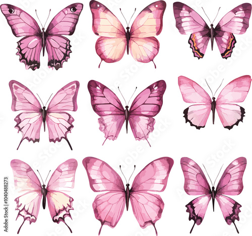 vector set of pink butterflies