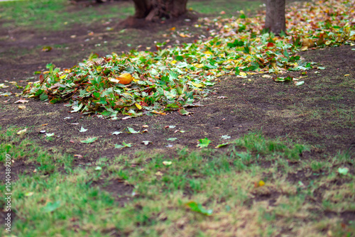 vibrant autumn scene captures a heap of green and red leaves in a park, symbolizing the changing seasons. The interplay of colors evokes warmth, nostalgia, and the beauty of nature's transition