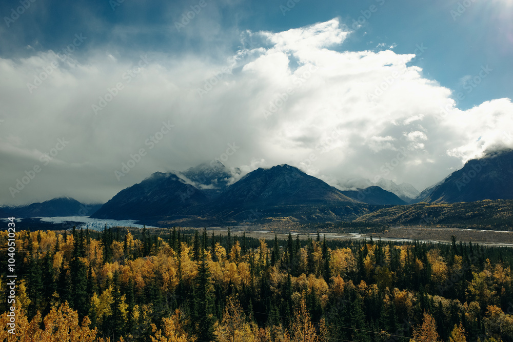 Aerial view of colorful fall trees and conifers at Denali national park in Alaska. Aerial view of colorful fall trees and conifers at Denali national park in Alaska.