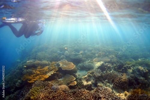 Sun rays in reef