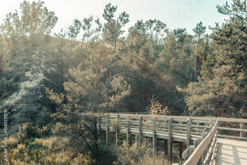 Boardwalk at West Beach Trails