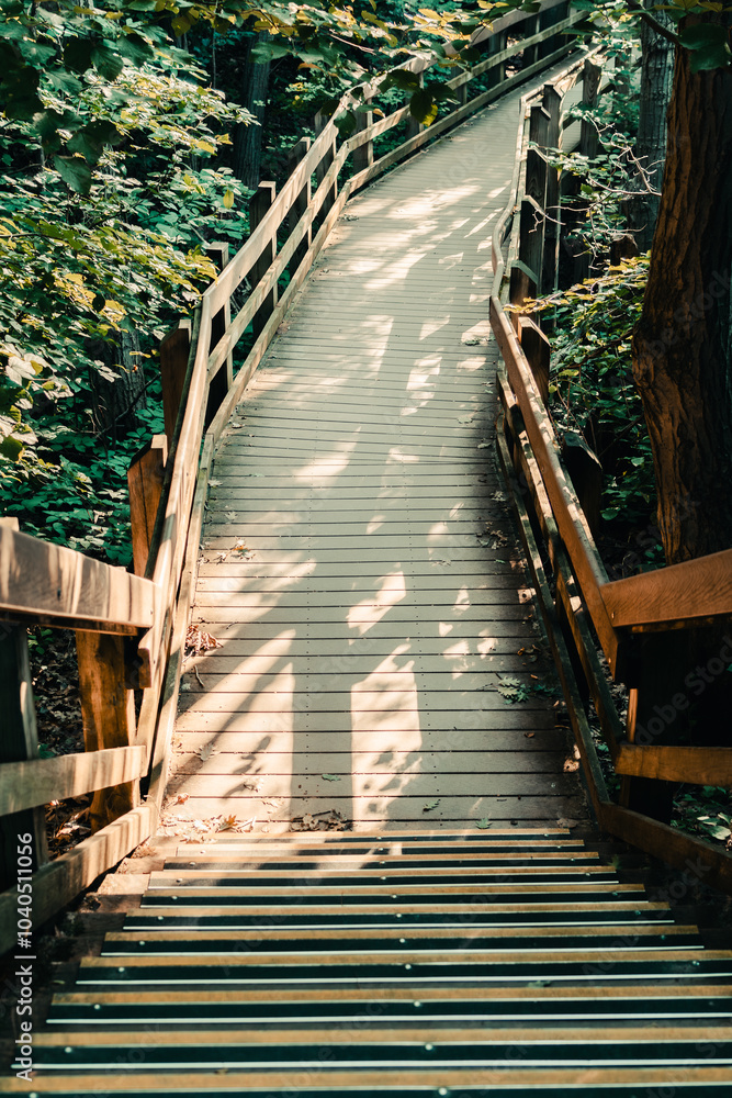 Fototapeta premium Stairs at West Beach Trails