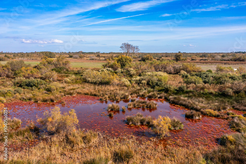 Aerial view of the Camargue near Saintes Maries de la Mer, Bouches du Rhône, Provence, France photo