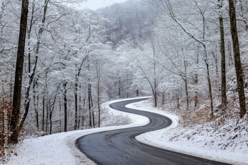 A scenic, winding road covered in snow weaves through a tranquil forest landscape, with frosty trees lining the path, evoking a peaceful, winter wonderland scene.