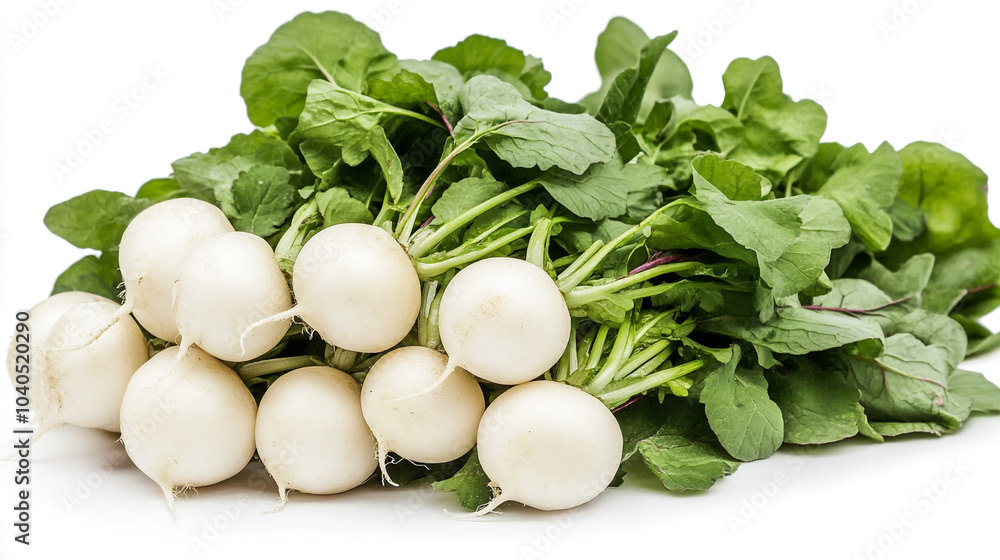 Fresh White Turnips with Green Leaves on White Background Fresh White Turnips with Green Leaves on White Background