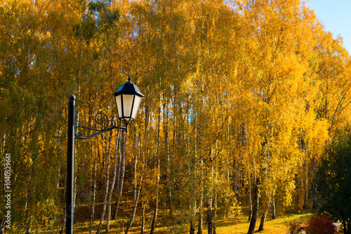 Old lantern against the background of autumn trees