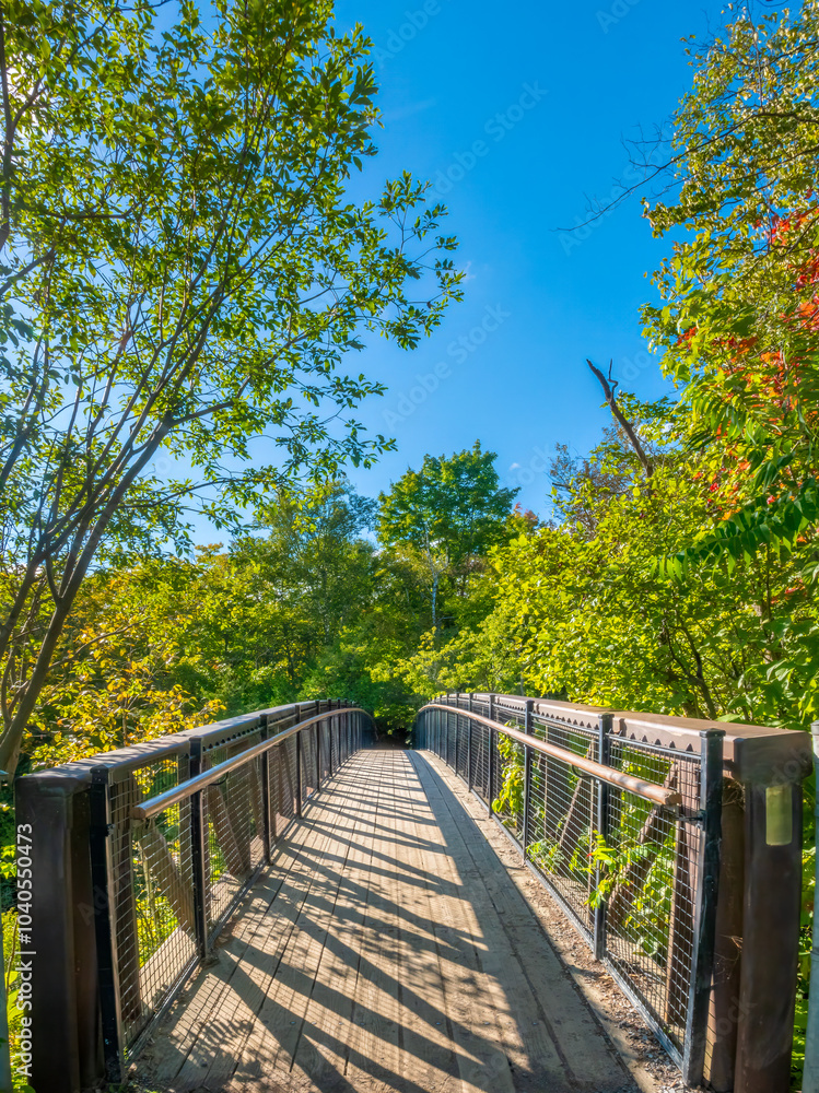 A forest bridge in the Montmorency Falls park, Qguebec City, Quebec, Canada A forest bridge in the Montmorency Falls park, Qguebec City, Quebec, Canada