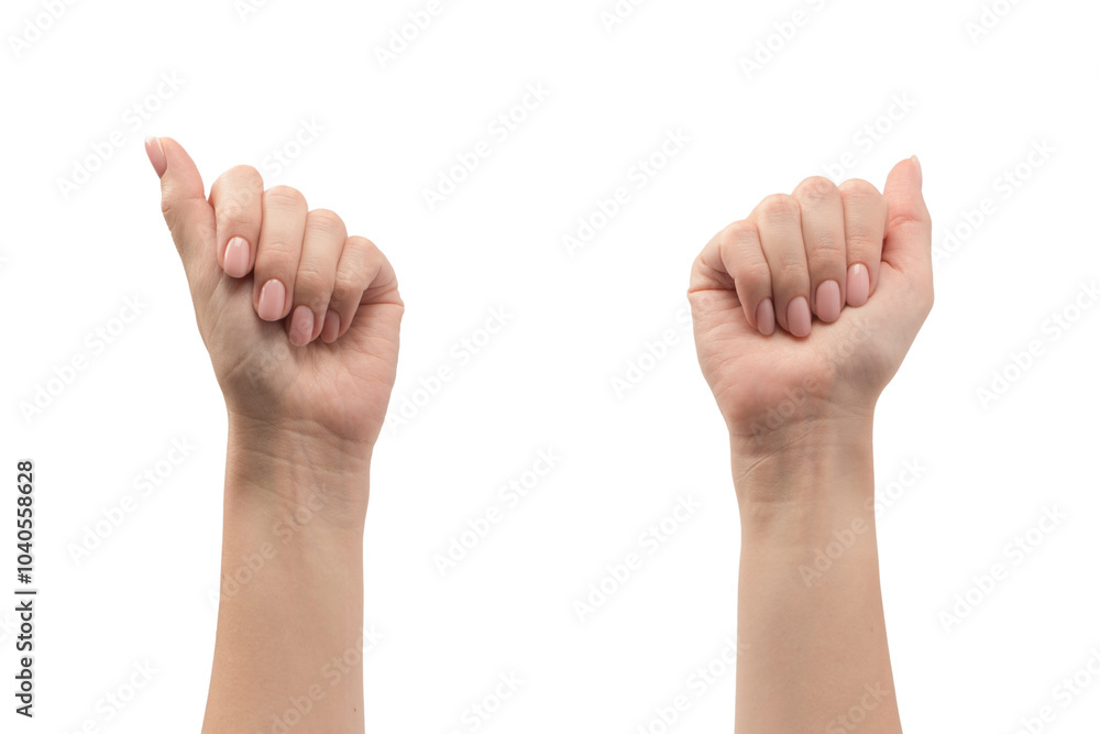 Woman hands with nude manicure isolated on a white background. Woman hands with nude manicure isolated on a white background.