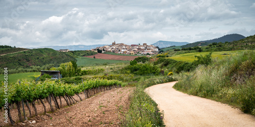 Tableau sur toile The Path to Cirauqui