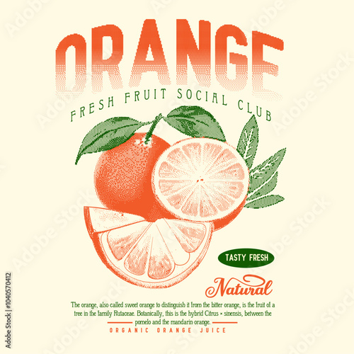 orange fruit print design. summer tropical food fashion. retro vintage fashion. orange slogan typography text. natural tasty fresh fruit print design. food fashion t shirt artwork