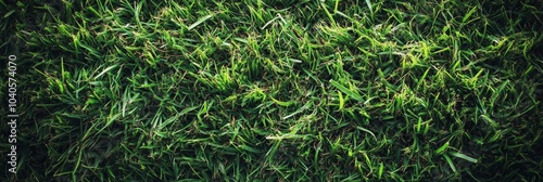 Fresh green grass covering the ground in a peaceful outdoor setting during da...