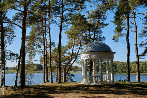 Serene park gazebo by a tranquil lake, surrounded by tall pine trees under a clear blue sky photo