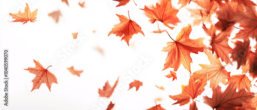 Beautiful Fall Leaves Falling Through The Air