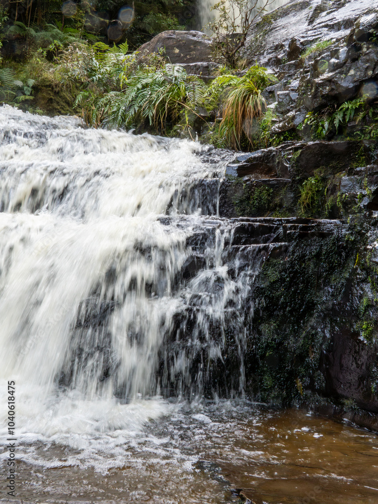 McLeans waterfall in the Catlins Conservation Park, New Zealand. McLeans waterfall in the Catlins Conservation Park, New Zealand.