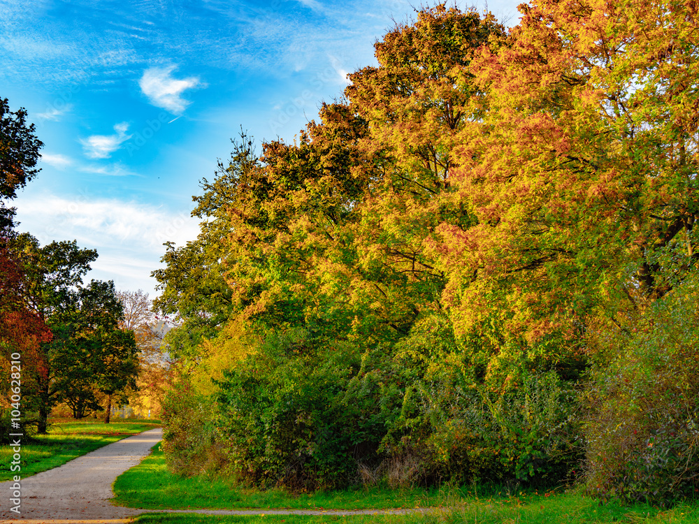 Naklejka premium Einzigartige Herbststimmung in der Natur im Donaupark bei Sonnenschein