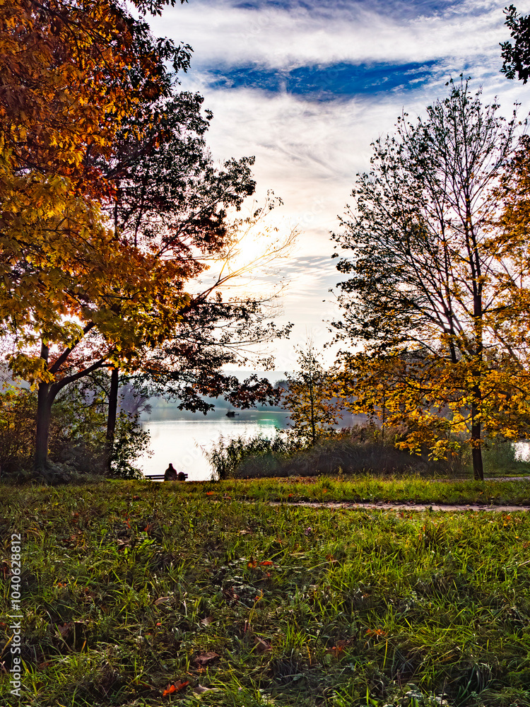 Obraz premium Einzigartige Herbststimmung in der Natur im Donaupark bei Sonnenschein
