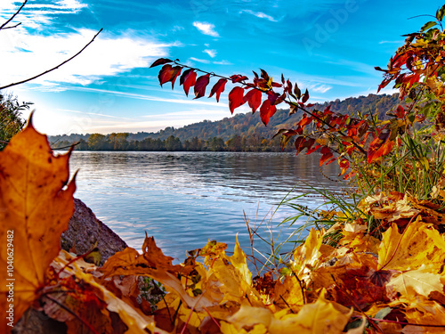 Einzigartige Herbststimmung in der Natur im Donaupark bei Sonnenschein photo