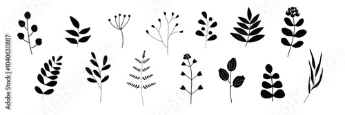 Set of silhouettes of plants, branches, flowers, berries. Abstract natural wild collection. Vector graphics.