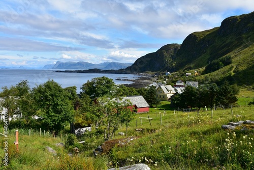 Norway - beautful landscape of the island of Runde. August.  photo