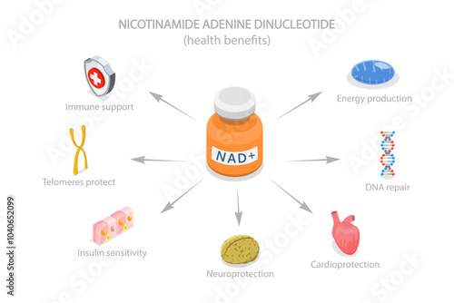 3D Isometric Flat  Illustration of Health Benefits Of NAD plus, Anti-Aging Therapy photo