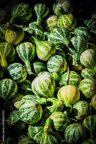 Spinning Gourd, Dancing Gourd, Ziergurken, Cucurbita pepo, Herbstfest, Herbst, Herbstdekoration, Dekoration, Baselland, Schweiz photo