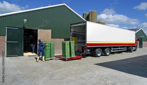 Chicks in stable. Transport from chicks from the hatchery to the farm. Poultry breeding. Crates. photo