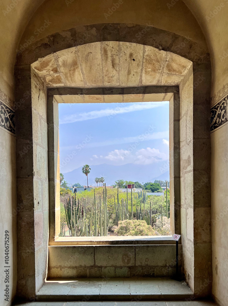 Obraz premium View from Window with Cactus Garden