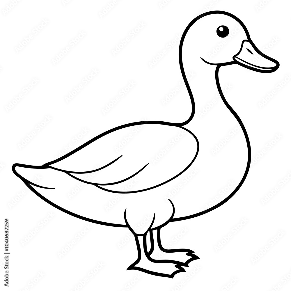 duck isolated on white duck isolated on white