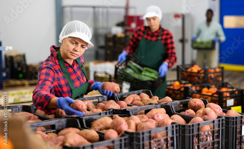 Young woman farmer working at a vegetable depot inspects potatoes from crates