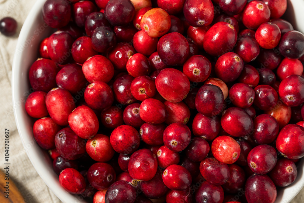 Organic Raw Red Cranberries Organic Raw Red Cranberries